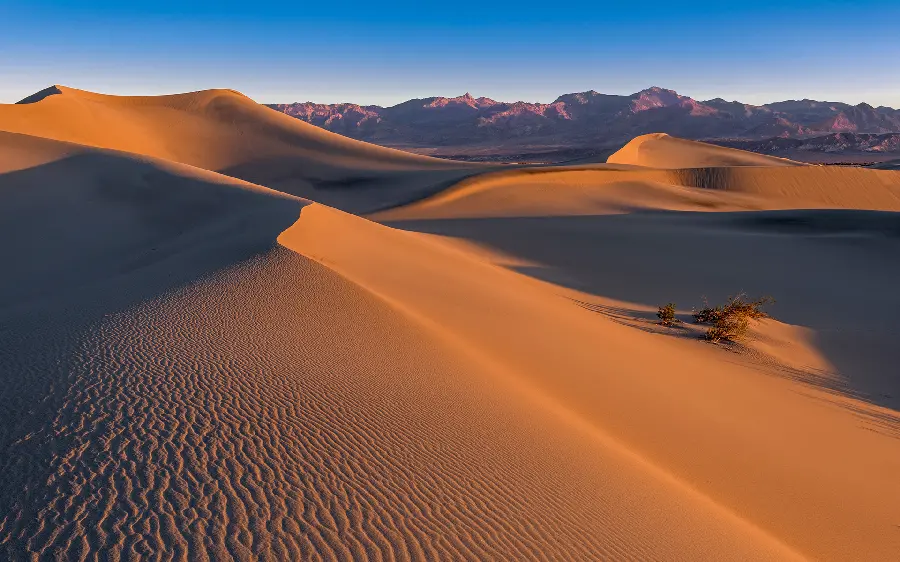 Download photo of a sandy desert place for a desert tour