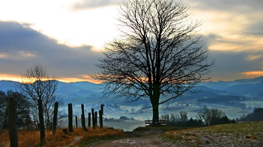 The most amazing background photo of nature For Instagram Profile