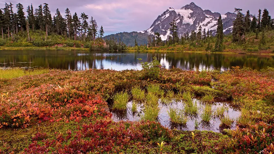A very beautiful and peaceful photo of the nature around the lake