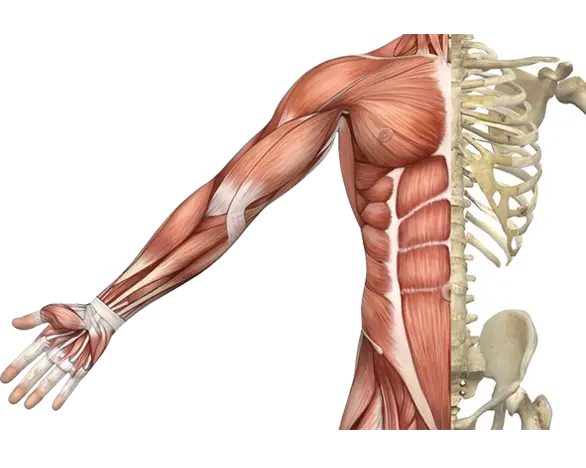High quality full HD stocks related to the medical sector Physiotherapy