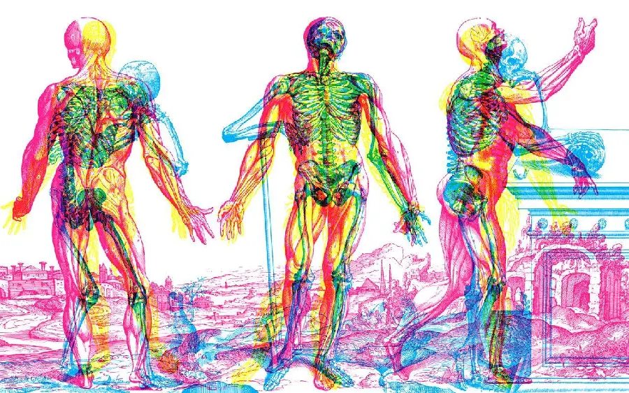 Physiotherapy Themed Wallpaper for Student Research