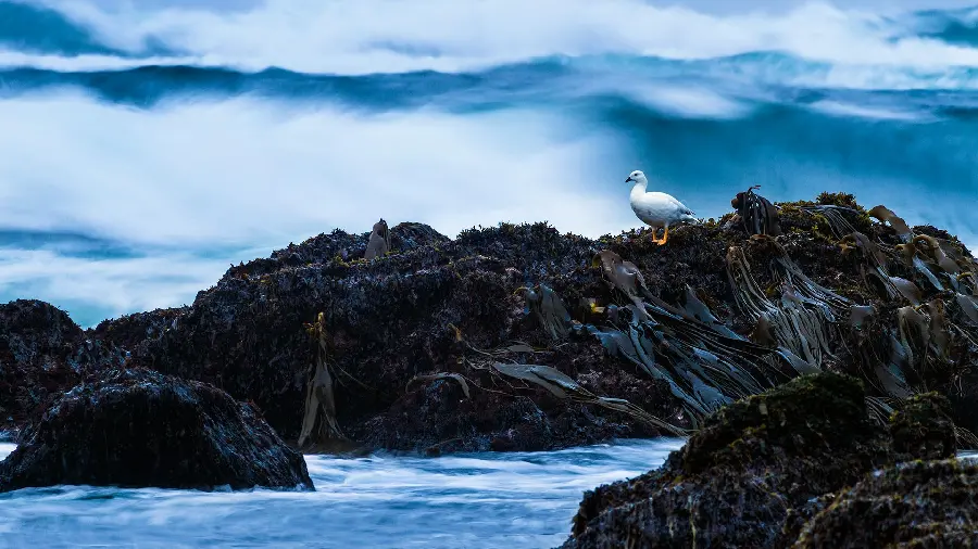 Beautiful wallpaper of mysterious ocean nature for poster printing