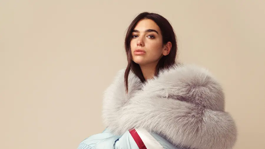 Wallpaper of the twenty-nine-year-old English-Albanian singer and model Dua Lipa