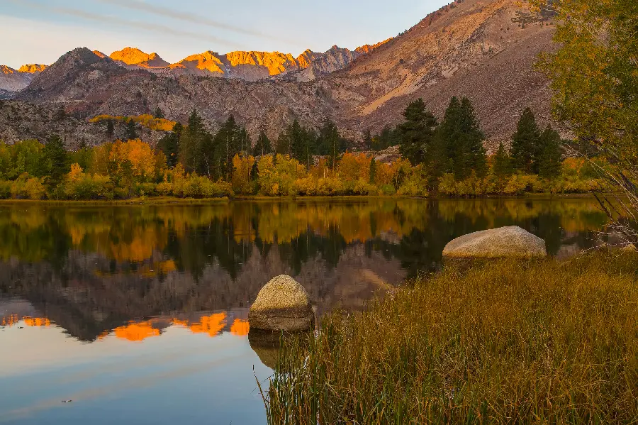 The latest wallpapers with beautiful and wonderful nature designs from the essence
