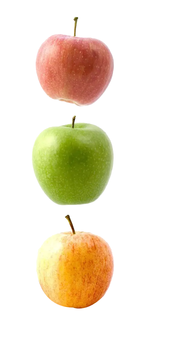Beautiful and different PNG image of an apple with different colors