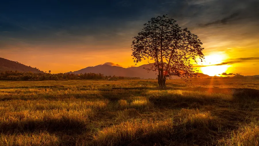 Pleasant and Dreamy and Romantic Sunset Wallpaper