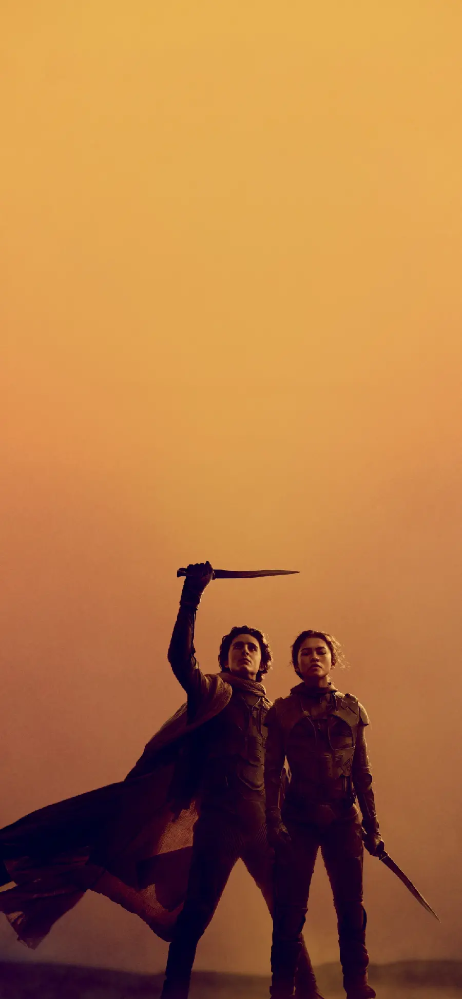 Designed Vertical Stock Photo from Dune 2 Movie