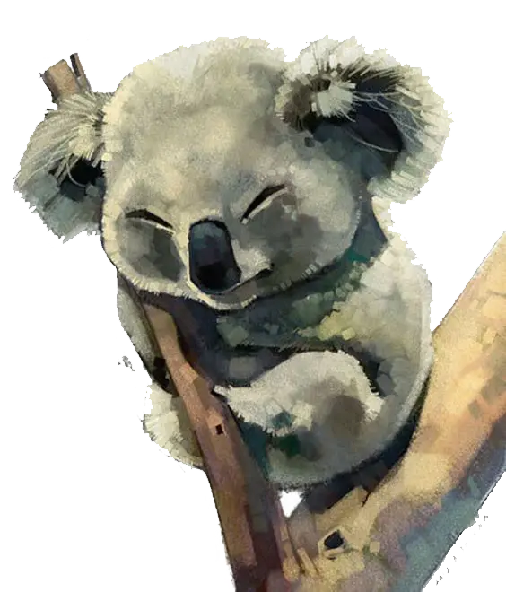 Koala PNG image cut out and without background