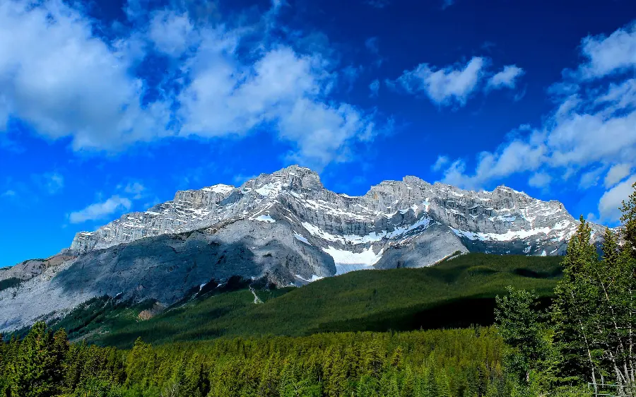 Dreamy stock image of clean and pollution-free nature for profile 