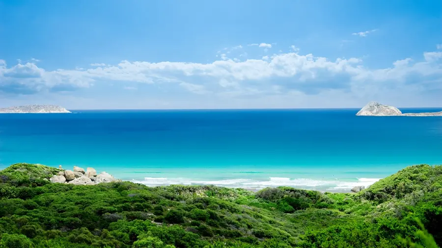 Free download of photos of lush nature and the sea suitable for profiles