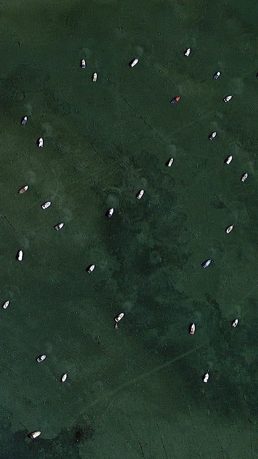 Satellite photo designed for Samsung Galaxy M34 background