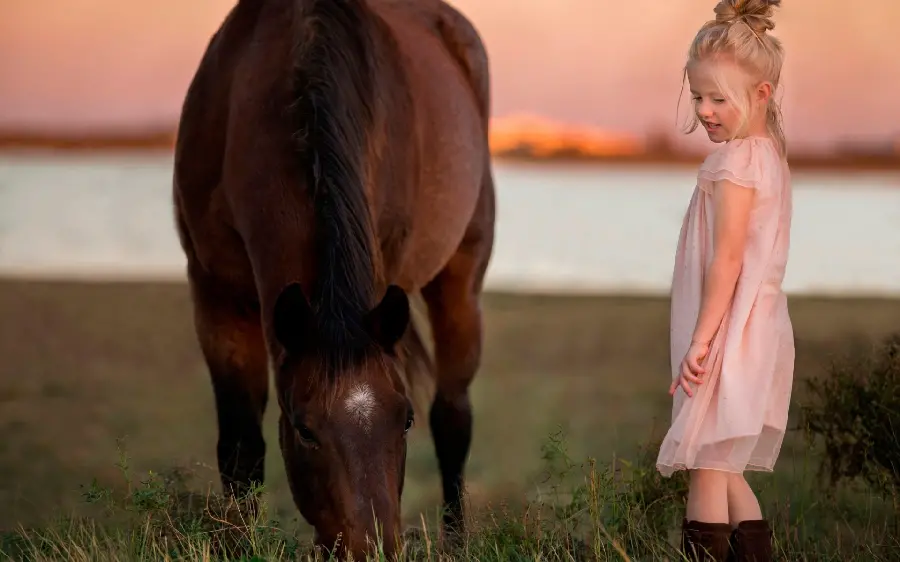 Spectacular and beautiful photo and wallpaper of the remarkable friendship of a horse and a human child