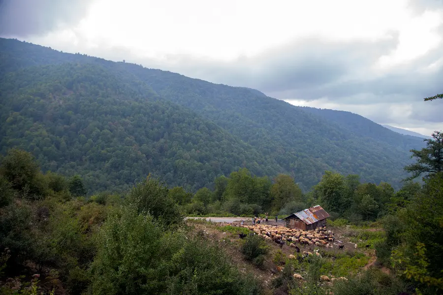 The landscape and scenery of northern Iran is a beautiful and special tourist area 