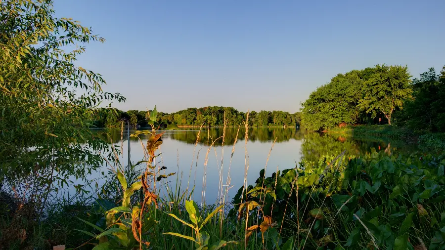 Special and interesting profile picture in 1403 for nature lovers 