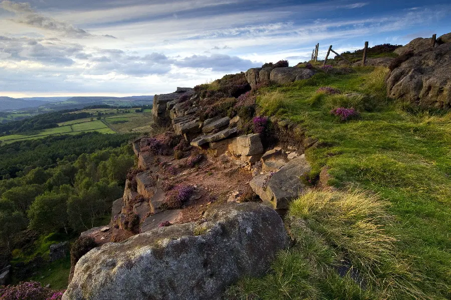 Background image of clean nature outside the city