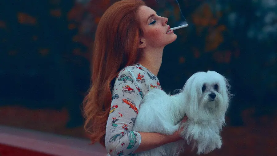 Cute dog photo in Lana Del Rey's arms