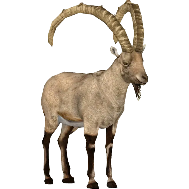 Download Real Antelope with Long Horns PNG Image
