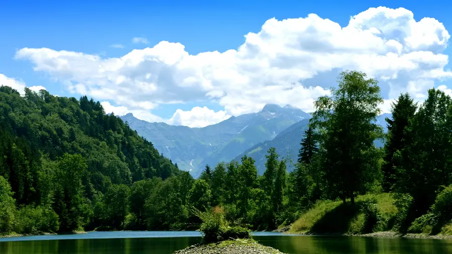 Background photo of nature with The splendor and vast, expansive forests with freshness