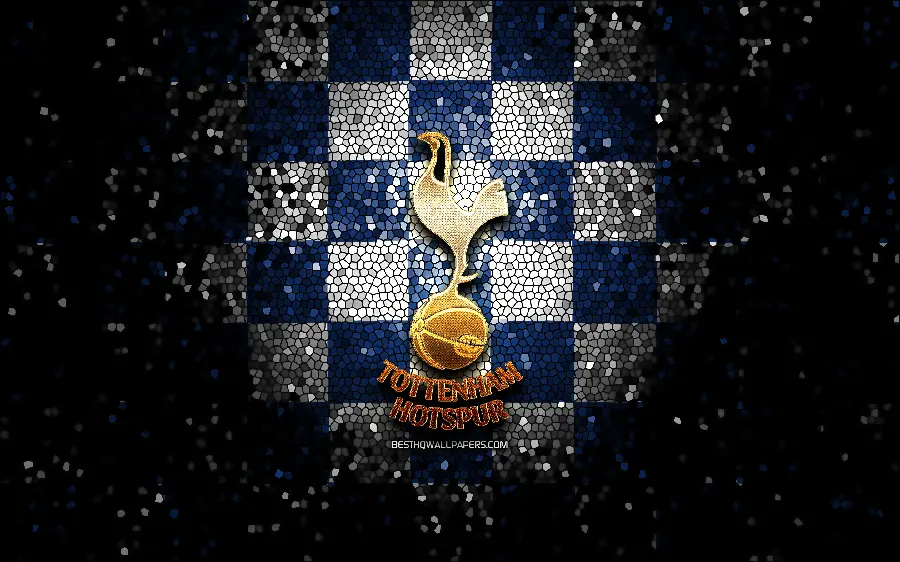 Beautiful and stylish profile photo for football players from the Tottenham team