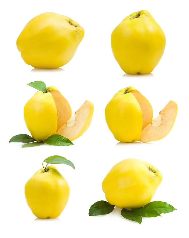 Free download Fruit png image to be whole and cut 
