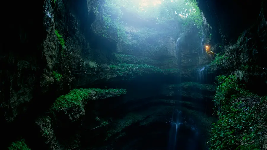 Stock of beautiful and mysterious nature with dense vegetation for profiles