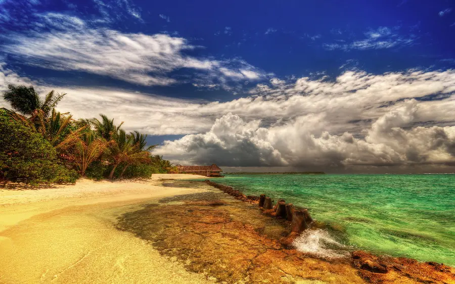 Download profile picture taken from natural landscapes