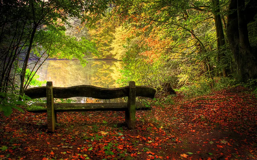 2023 Selected Computer Wallpaper of Autumn Scenery for Romantic People