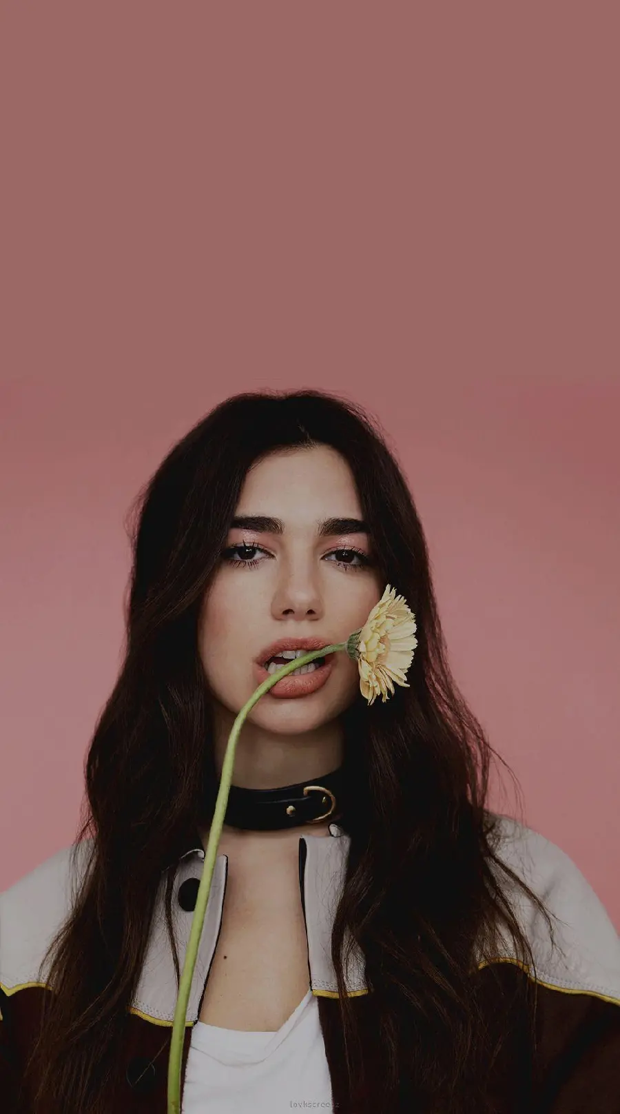 Download Dua Lipa's image with a special and beautiful style