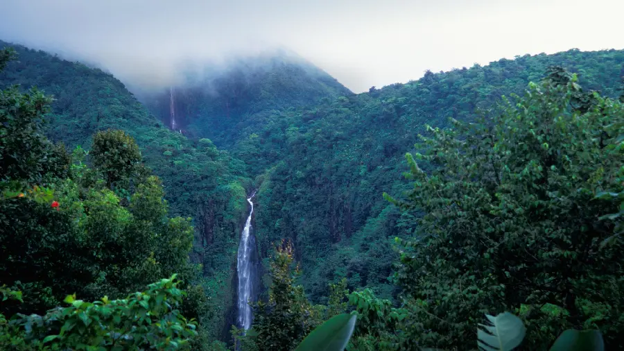 Most Downloaded Nature Wallpaper for Desktop 2023