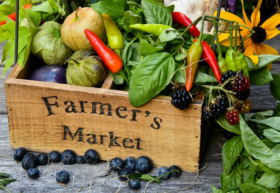 Simple picture of the agricultural market of fresh foreign fruits and vegetables