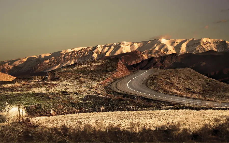 A profile photo of a dreamy and winding road in mysterious nature