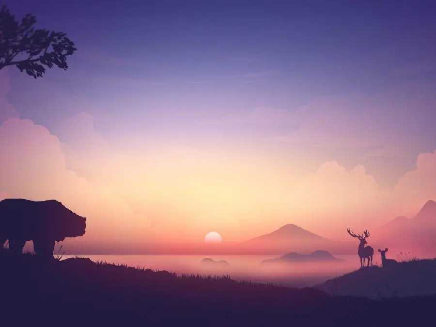 Photo designed with inspiration from nature Minimalist style 