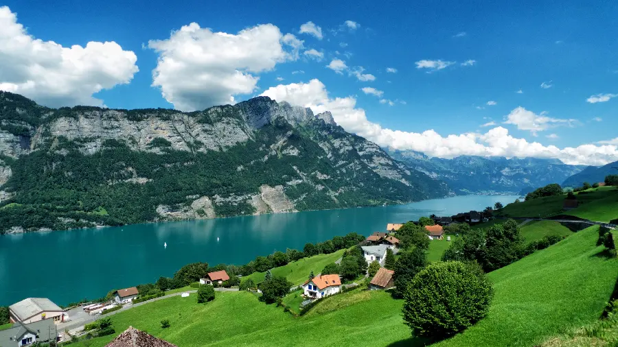 A lush mountain village leading to the sea, suitable for a profile 