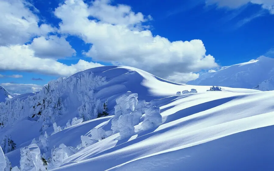 Winter nature profile photo with a sense of cold in full HD quality