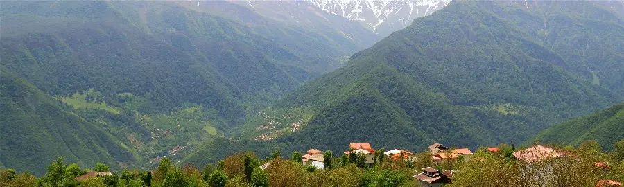 High quality profile photo of the nature of the north of the country for various Iranian and foreign platforms