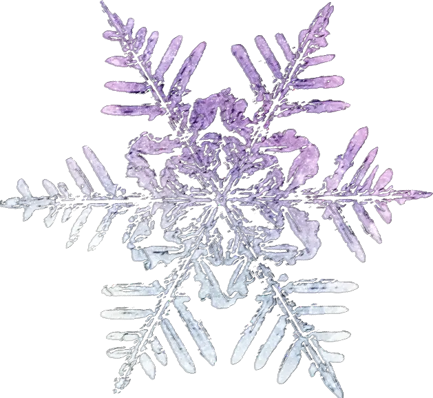 Download interesting and beautiful snowflake photo in PNG format