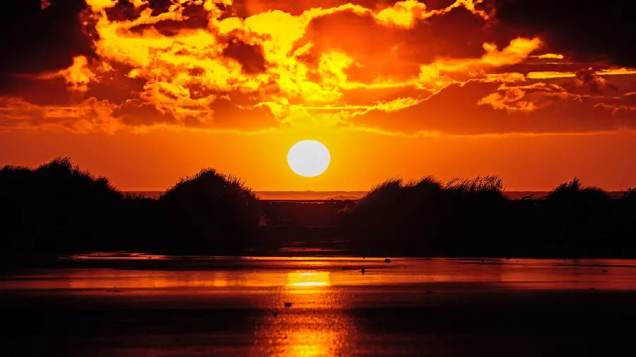 Download the dreamy and spectacular sunset background HD