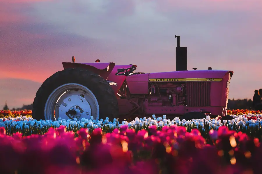 Beautiful wallpaper of an old tractor on a field full of flowers