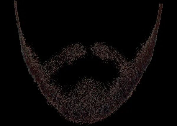 Photo of beard and mustache in PNG format