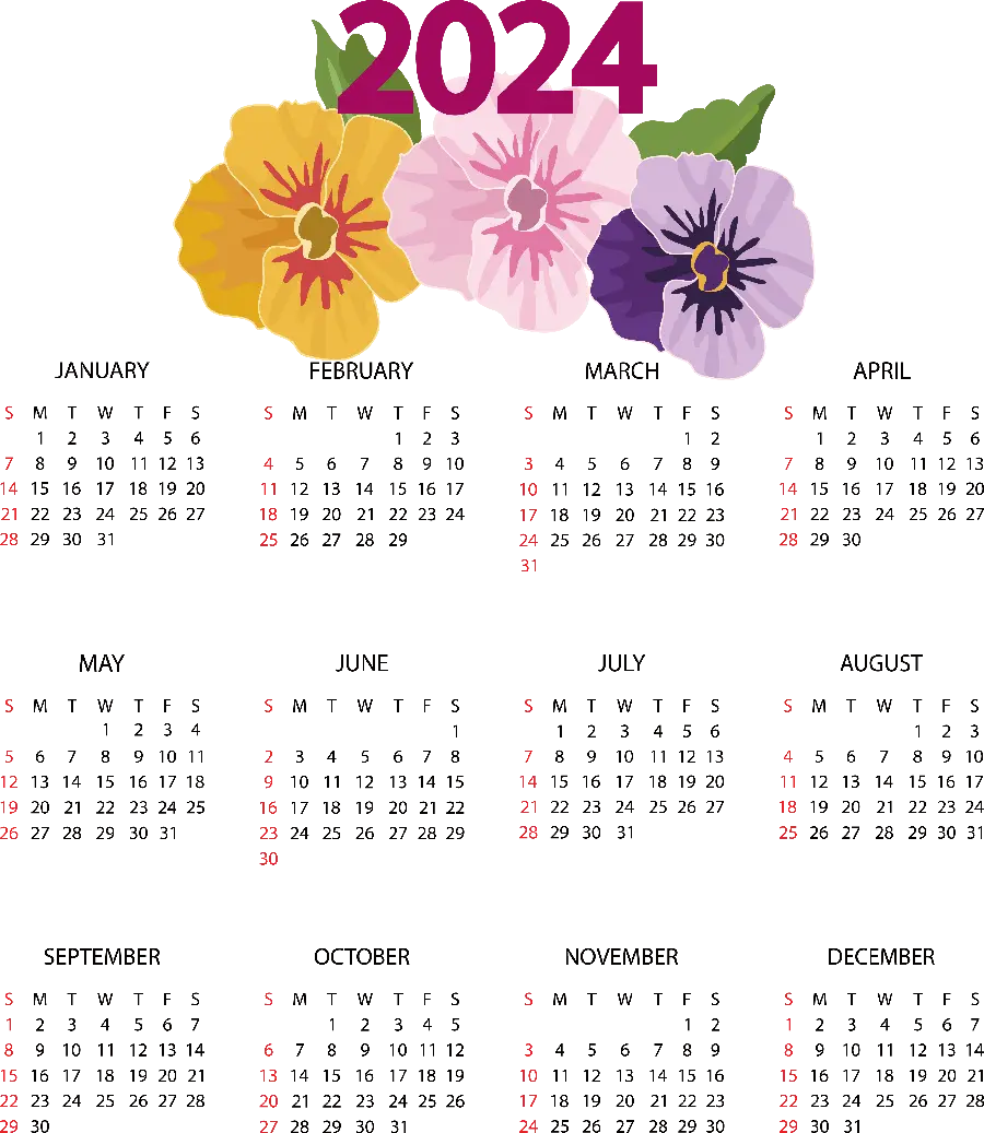 Photo of the 2024 international calendar calendar