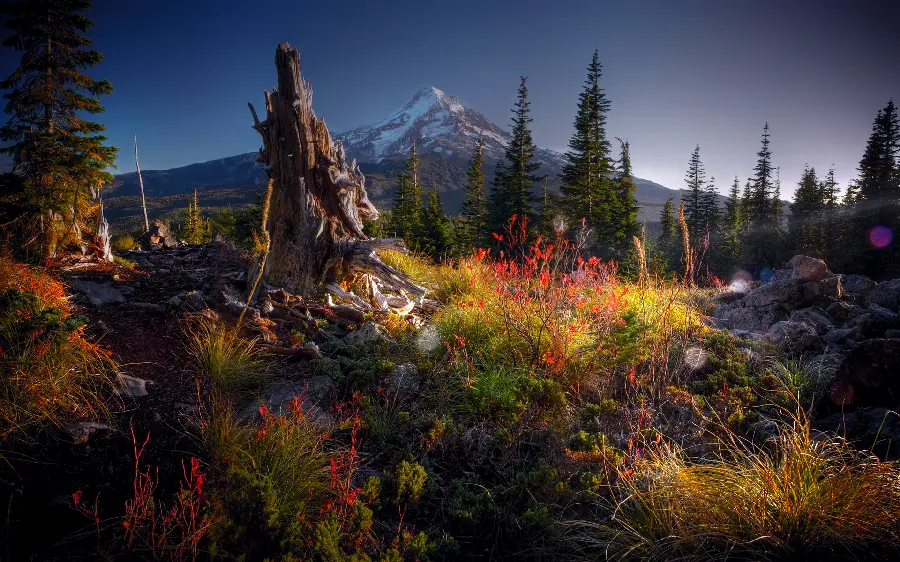 Beautiful and spectacular background photo of scenic nature for painting printing 