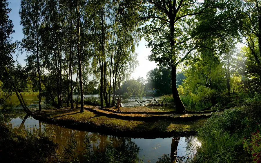 Interesting wallpaper of lush and beautiful nature for desktop background 2024