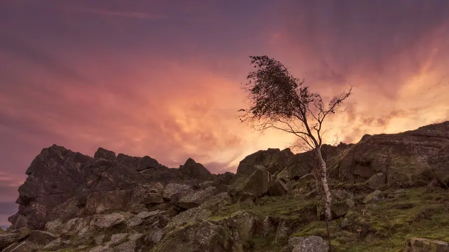 Amazing sunset image suitable for laptop background