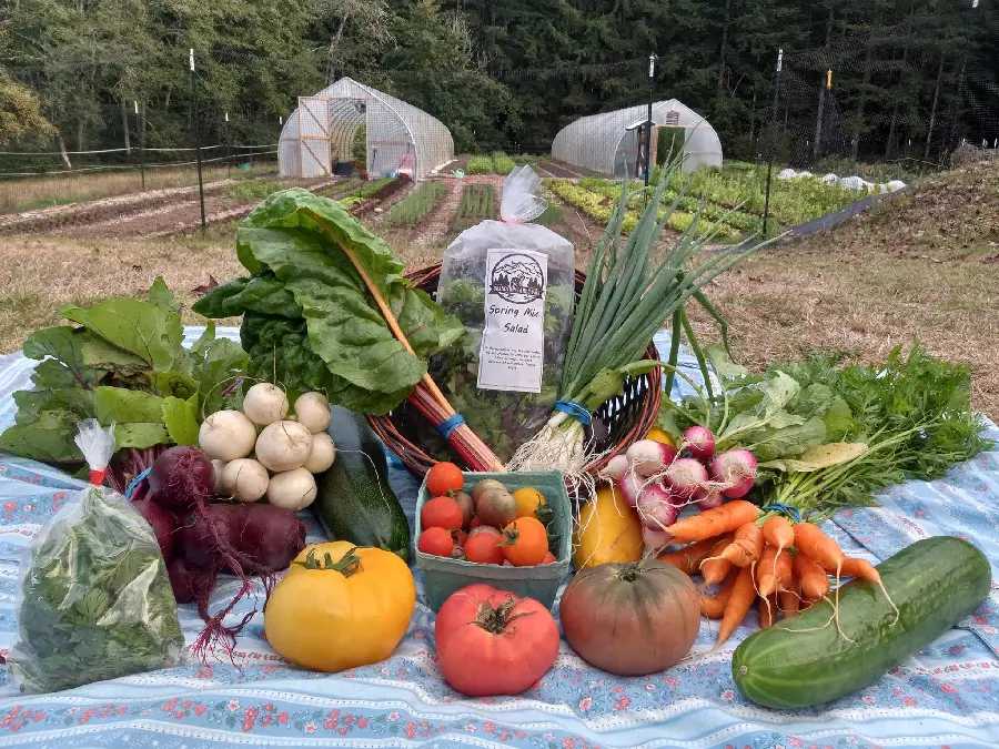 Free photo of the agricultural market of all kinds of fruits and vegetables