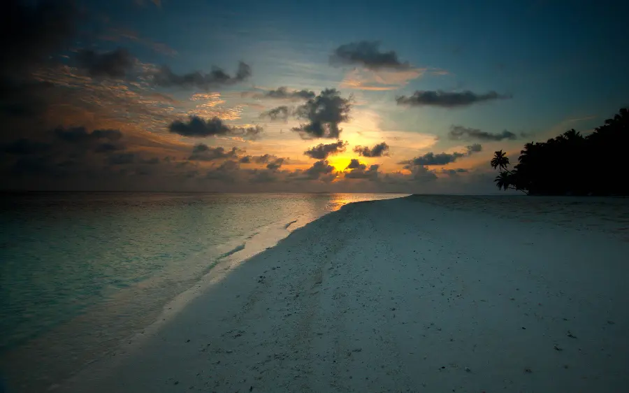Nature background in dark theme and excellent quality