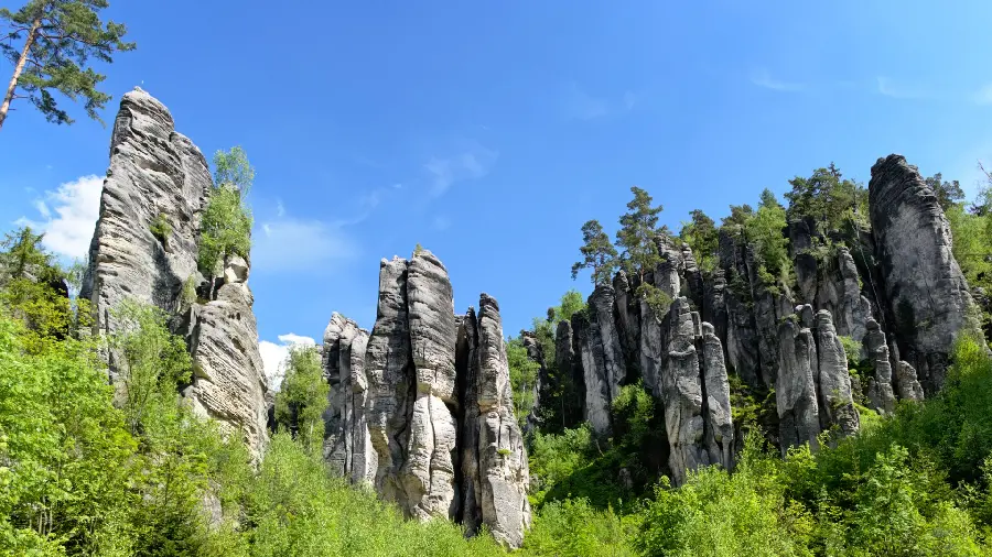 HD image and background of nature without editing and logo for desktop 