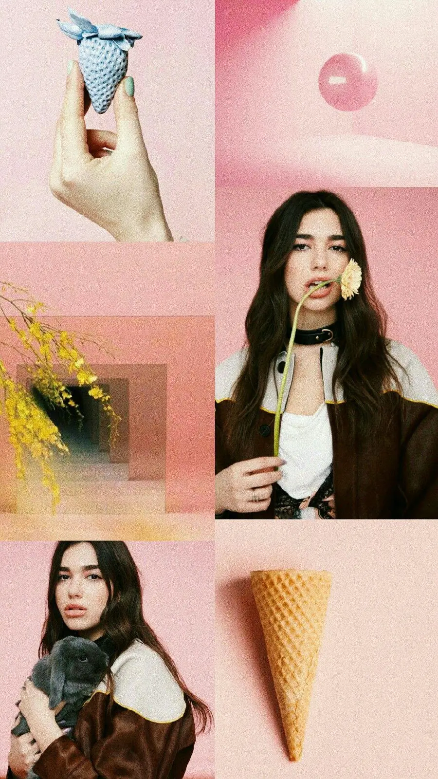 High quality wallpaper of Dua Lipa for free