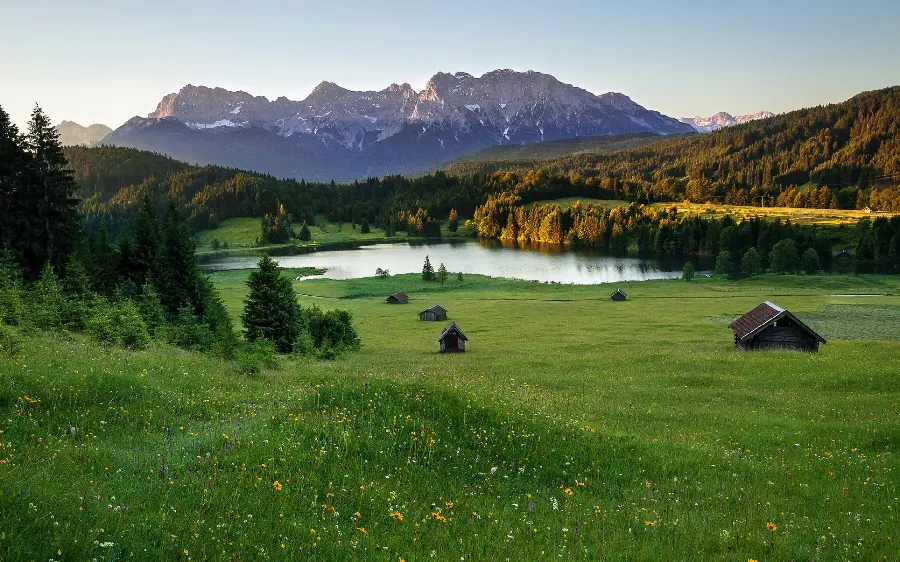 Profile photo of nature and a lush and flowery plain with very good quality