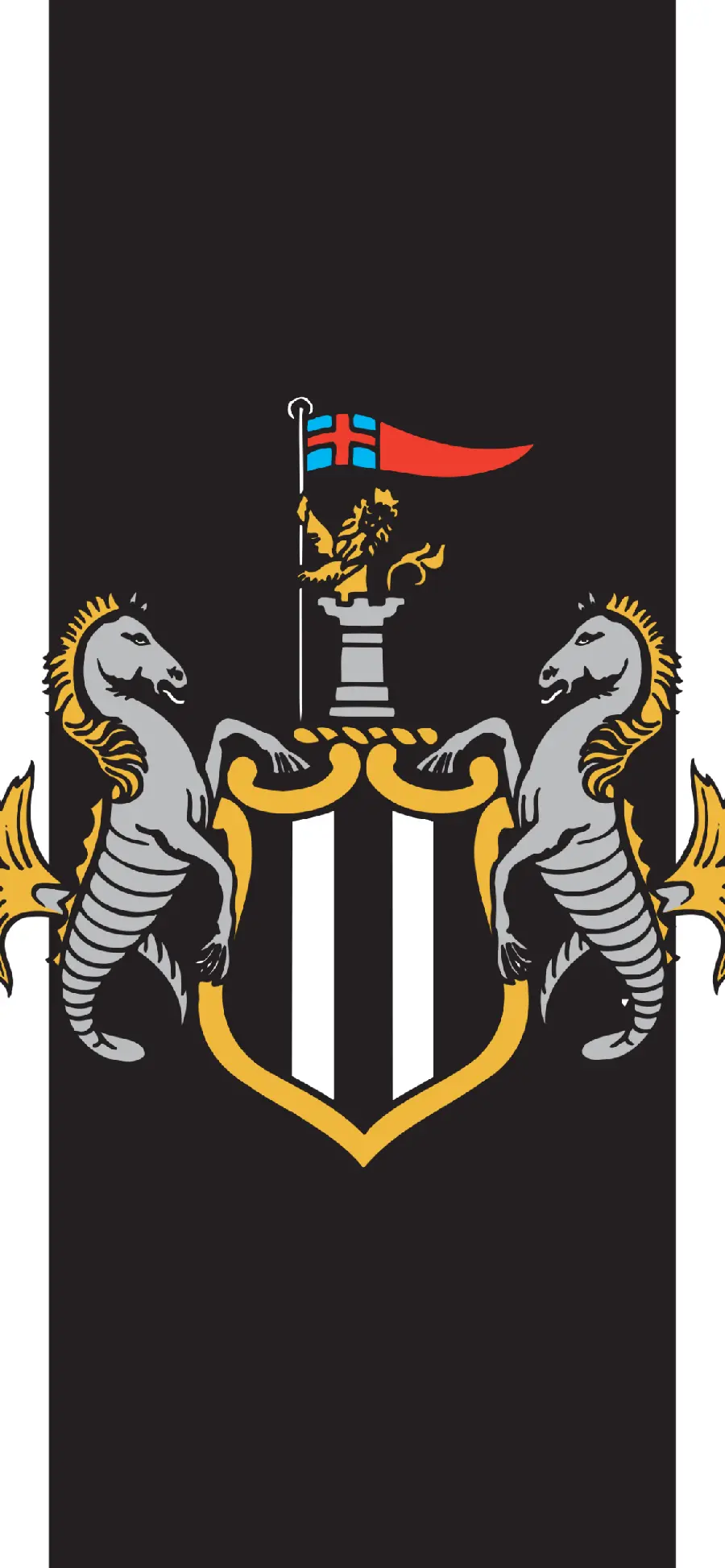 Download completely free wallpapers of the Newcastle football team