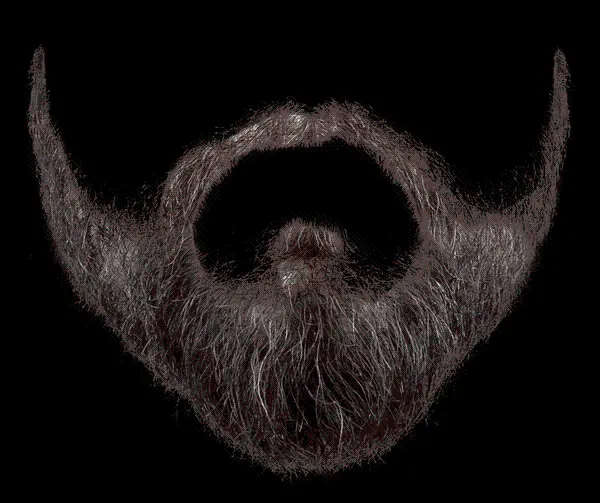 PNG image of beard and mustache in PNG format
